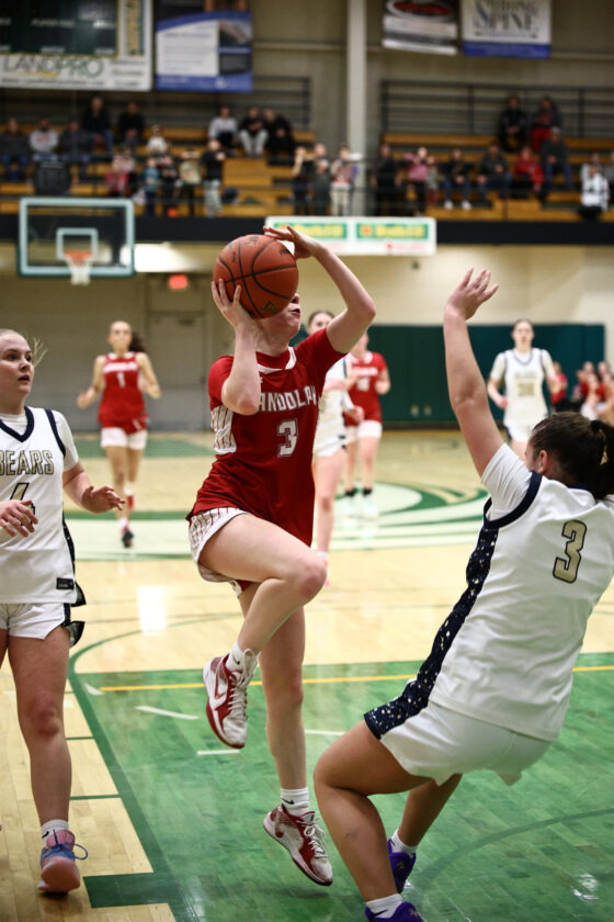 Post Journal 2026 Post-Journal/OBSERVER Girls Basketball Second Team All-Stars